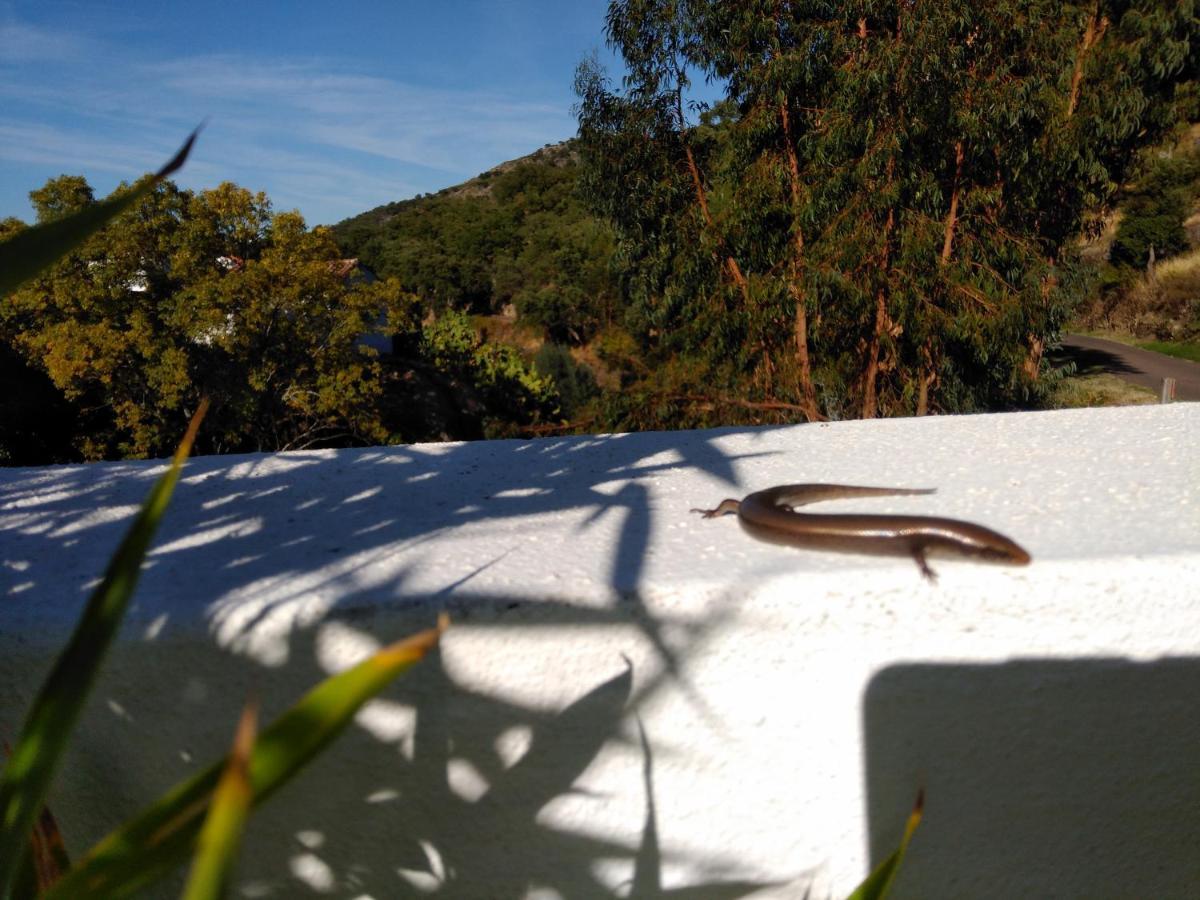 Alojamento de Acomodação e Pequeno-almoço Casas Do Contrabando Marvão